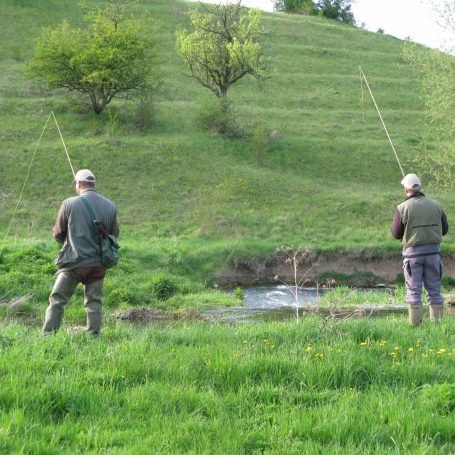 Gemeinschaft und Abenteuer Zwei Angler stehen am Ufer eines Bachs, umgeben von grünen Wiesen und Bäumen.